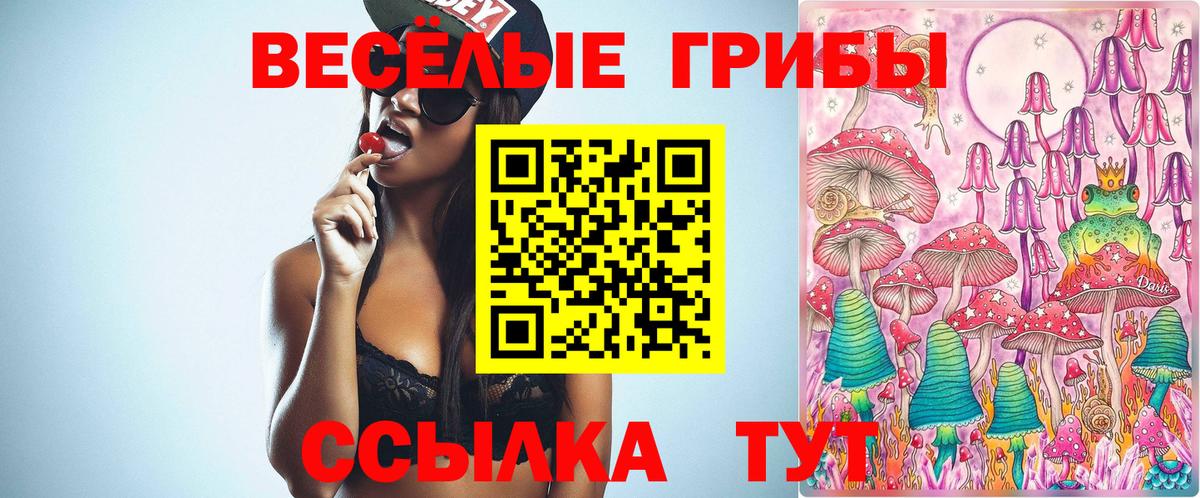 Тверь  Галлюциногенные грибы Cubensis  Вход с VPN  Галлюциногенные грибы Cubensis 