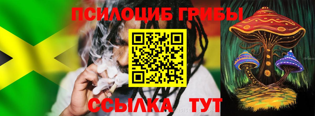 Псилоцибиновые грибы Cubensis Тверь